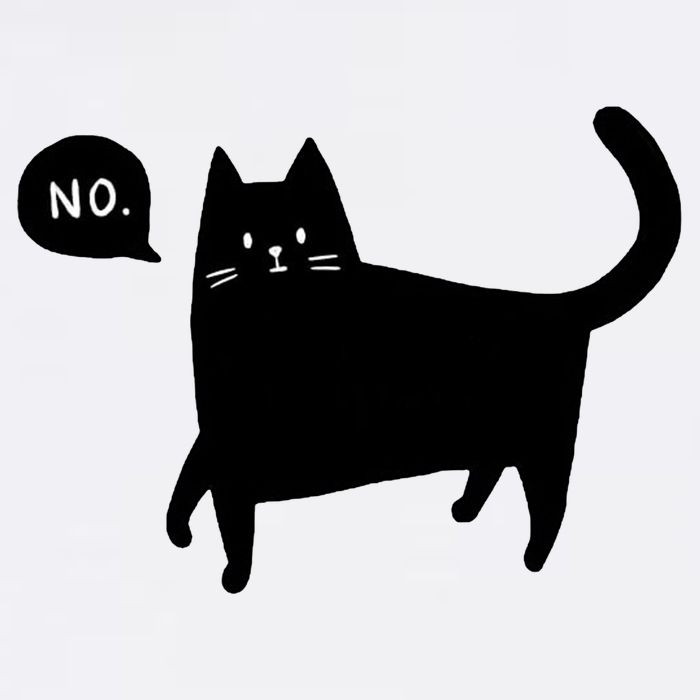 No Funny Black Cat Hoodie