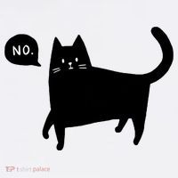 No Funny Black Cat Women's V-Neck T-Shirt