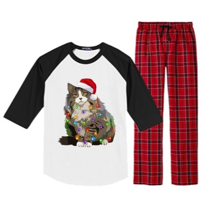 Norwegian Forest Cat Christmas Lights Xmas Cat Lover Gift Raglan Sleeve Pajama Set