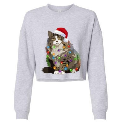 Norwegian Forest Cat Christmas Lights Xmas Cat Lover Gift Cropped Pullover Crew