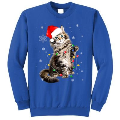 Norwegian Forest Cat Christmas Lights Xmas Cat Lover Funny Gift Sweatshirt