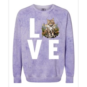 Norwegian Forest Cats Norwegian Forest Cat Gift Colorblast Crewneck Sweatshirt