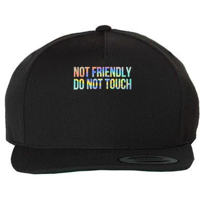 Not Friendly Do Not Touch Funny Sarcastic Tie Dye Wool Snapback Cap