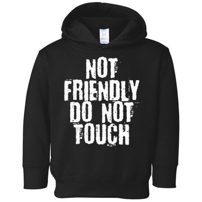 Not Friendly Do Not Touch Toddler Hoodie