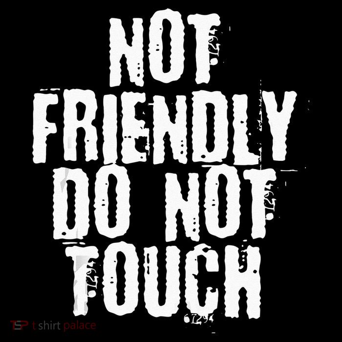 Not Friendly Do Not Touch Women's V-Neck T-Shirt
