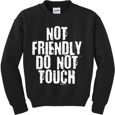 Not Friendly Do Not Touch Kids Sweatshirt
