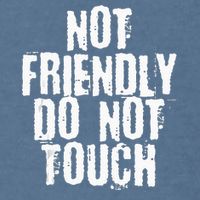 Not Friendly Do Not Touch Garment-Dyed Sweatshirt