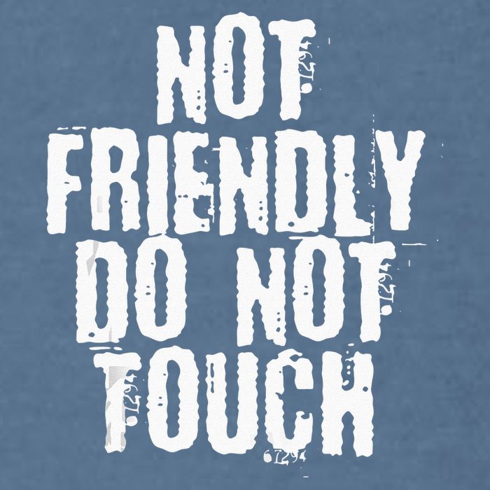 Not Friendly Do Not Touch Garment-Dyed Sweatshirt