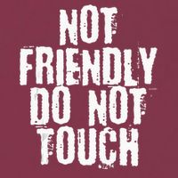 Not Friendly Do Not Touch 16oz Travel Tumbler