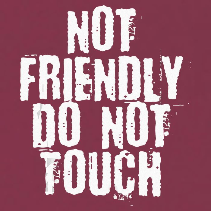 Not Friendly Do Not Touch 16oz Travel Tumbler