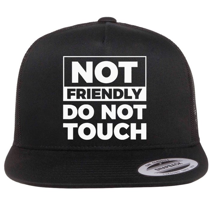 Not Friendly Do Not Touch Flat Bill Trucker Hat