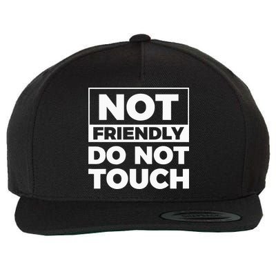 Not Friendly Do Not Touch Wool Snapback Cap
