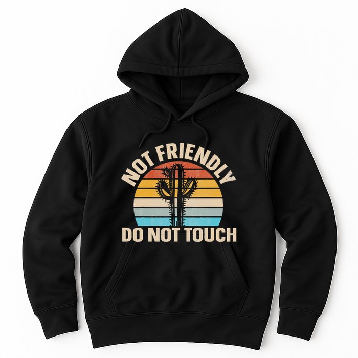 Not Friendly Do Not Touch Hoodie