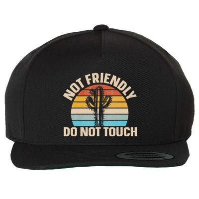 Not Friendly Do Not Touch Wool Snapback Cap