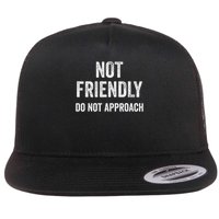 Not Friendly, Do Not Approach Funny Sarcastic Design Flat Bill Trucker Hat