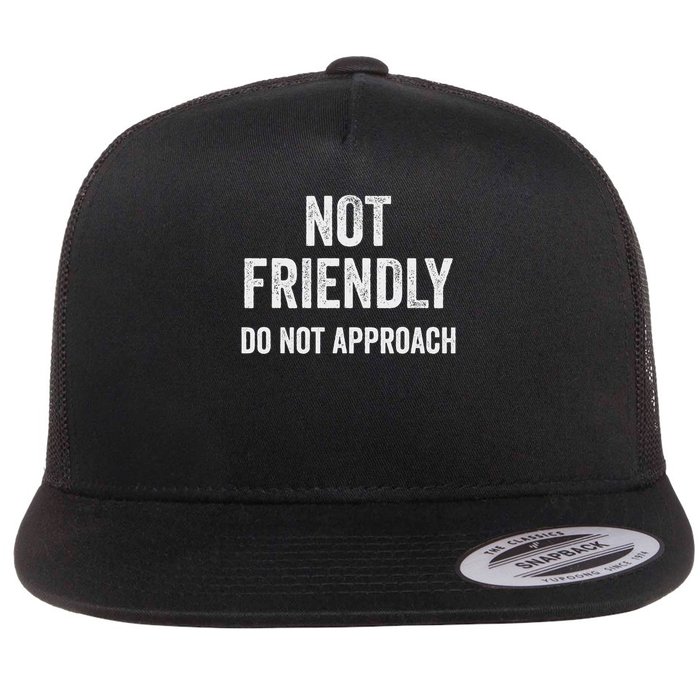 Not Friendly, Do Not Approach Funny Sarcastic Design Flat Bill Trucker Hat