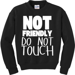 Not Friendly Do Not Touch Kids Sweatshirt