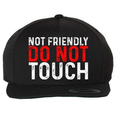 Not Friendly Do Not Touch Wool Snapback Cap