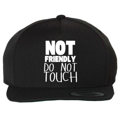 Not Friendly Do Not Touch Wool Snapback Cap
