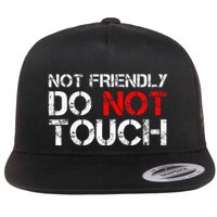 Not Friendly Do Not Touch Funny Sarcastic Quote Flatbill Hat