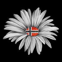 Norwegian Flag Daisy Trendy For Summer Cruise Norway Travel Bucket Hat