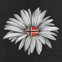 Norwegian Flag Daisy Trendy For Summer Cruise Norway Travel Hat