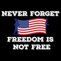 Never Forget Freedom Is Not Free Army Veterans Gift Cooling Performance Crew T-Shirt