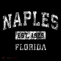 Naples Florida Fl Vintage Established Tall T-Shirt