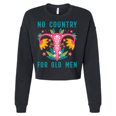 Nonbinary Fox Genderqueer Non Binary Pride Clothes Cropped Pullover Crew