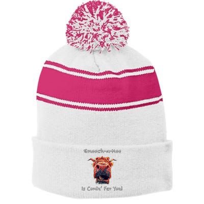 Novelty Fun Humorous Wild Fun Occasions Stripe Pom Pom Beanie