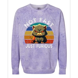 Not Fast Just Furious Retro Funny Cat Kitty Lover Sarcastic Colorblast Crewneck Sweatshirt