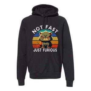 Not Fast Just Furious Retro Funny Cat Kitty Lover Sarcastic Premium Hoodie