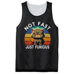 Not Fast Just Furious Retro Funny Cat Kitty Lover Sarcastic Mesh Reversible Basketball Jersey Tank