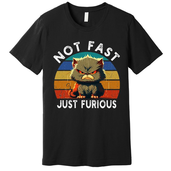 Not Fast Just Furious Retro Funny Cat Kitty Lover Sarcastic Premium T-Shirt