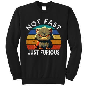 Not Fast Just Furious Retro Funny Cat Kitty Lover Sarcastic Tall Sweatshirt