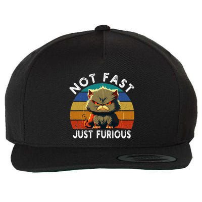Not Fast Just Furious Retro Funny Cat Kitty Lover Sarcastic Wool Snapback Cap
