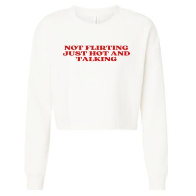 Not Flirting Just Hot And Talking Y2k Aesthetic Cropped Pullover Crew