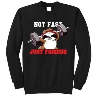 Not Fast Just Furious Weightlifting Sloth Funny Fitness Sweatshirt