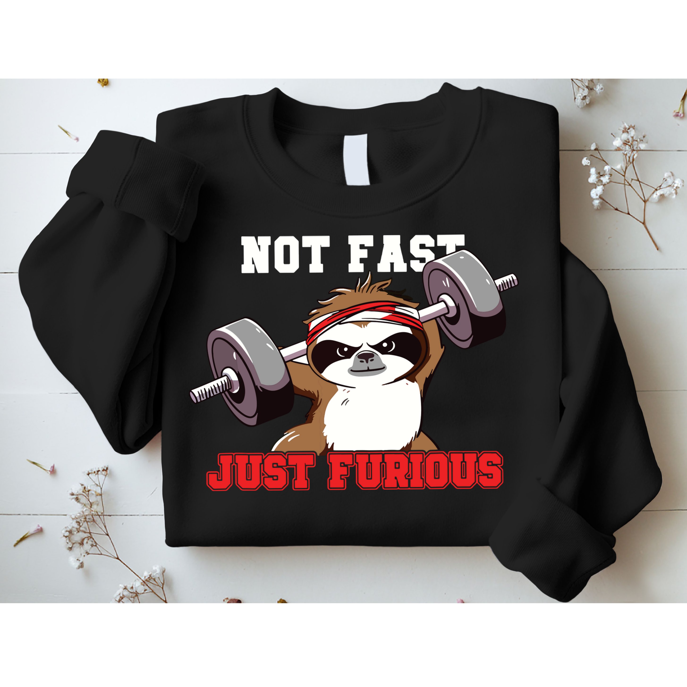 Not Fast Just Furious Weightlifting Sloth Funny Fitness Sweatshirt