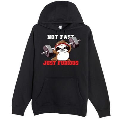 Not Fast Just Furious Weightlifting Sloth Funny Fitness Premium Pullover Hoodie