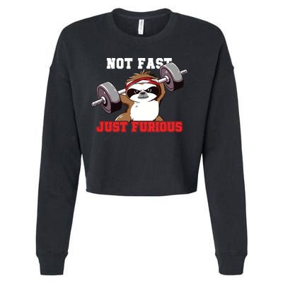 Not Fast Just Furious Weightlifting Sloth Funny Fitness Cropped Pullover Crew
