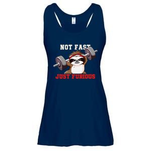 Not Fast Just Furious Weightlifting Sloth Funny Fitness Ladies Essential Flowy Tank