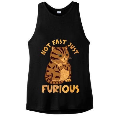 Not Fast Just Furious Funny Cute Grumpy Fat Cat Pet Lovers Ladies PosiCharge Tri-Blend Wicking Tank