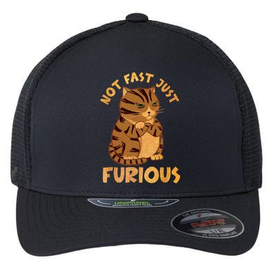 Not Fast Just Furious Funny Cute Grumpy Fat Cat Pet Lovers Flexfit Unipanel Trucker Cap