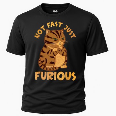 Not Fast Just Furious Funny Cute Grumpy Fat Cat Pet Lovers Performance Shirt