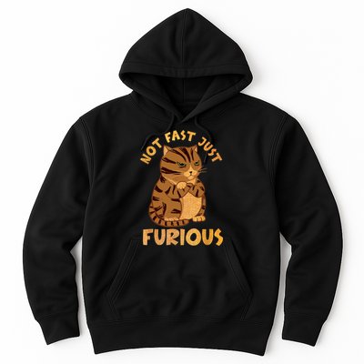 Not Fast Just Furious Funny Cute Grumpy Fat Cat Pet Lovers Hoodie
