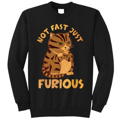 Not Fast Just Furious Funny Cute Grumpy Fat Cat Pet Lovers Sweatshirt
