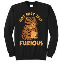 Not Fast Just Furious Funny Cute Grumpy Fat Cat Pet Lovers Sweatshirt