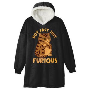 Not Fast Just Furious Funny Cute Grumpy Fat Cat Pet Lovers Hooded Wearable Blanket