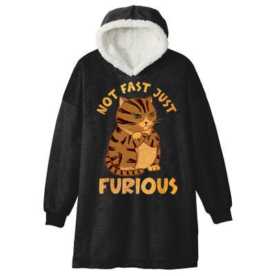 Not Fast Just Furious Funny Cute Grumpy Fat Cat Pet Lovers Hooded Wearable Blanket